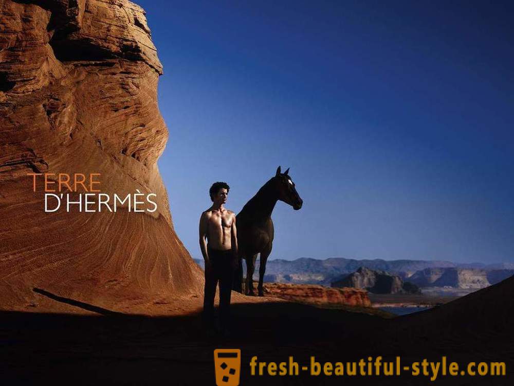 Elegancia aromática de perfume masculino por Hermes