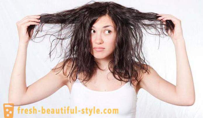 Champú eficaz para el cabello graso: opiniones, tipos y fabricantes