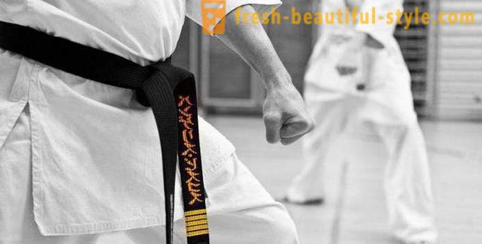 Tipos de artes marciales japonesas: la descripción, características y datos interesantes