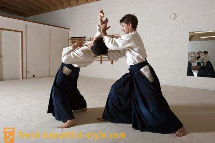 Tipos de artes marciales japonesas: la descripción, características y datos interesantes
