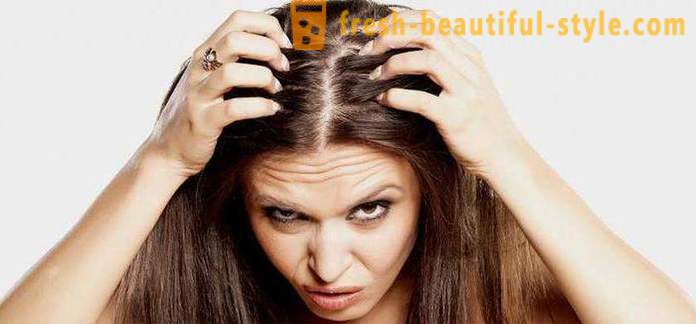 ¿Por zhirneyut rápido el pelo? Las posibles razones, características y métodos de tratamiento