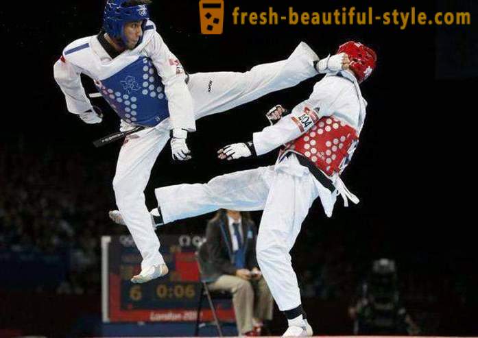 ¿Cuál es el Taekwondo? Descripción y las reglas del arte marcial