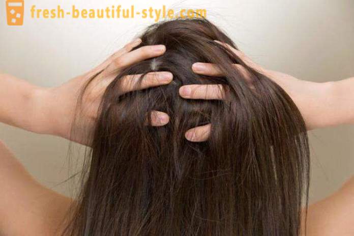 La mejor manera de teñir el cabello: el cabello sucio o limpio? Cómo teñir el tinte para el cabello