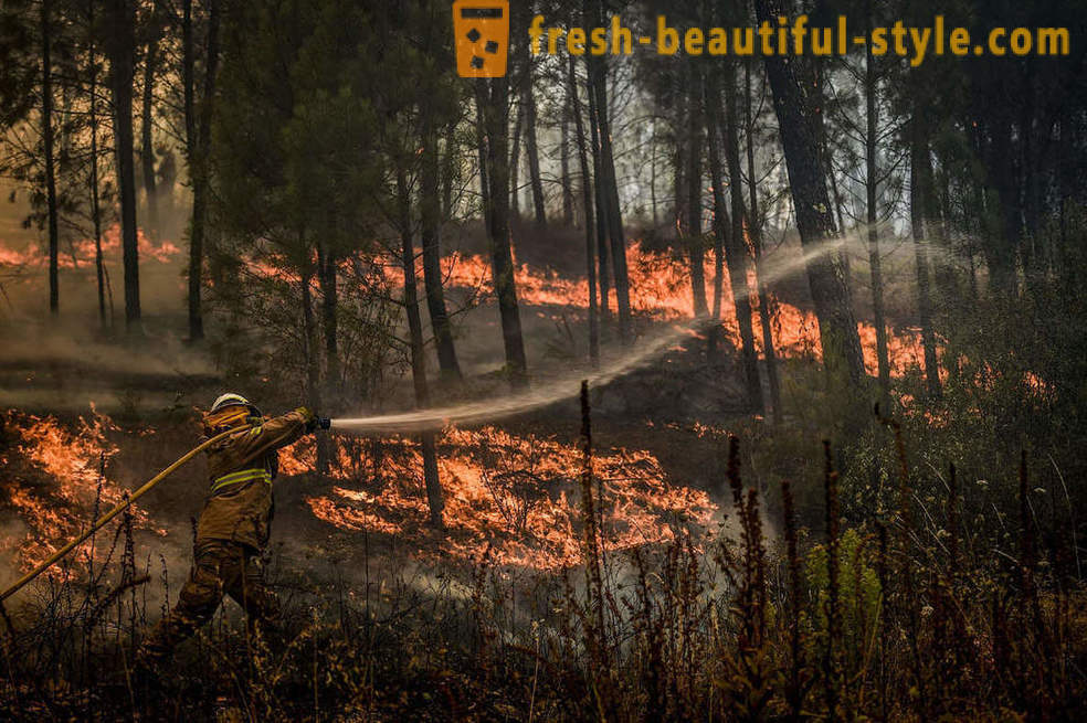 Cómo extinguir los incendios en Portugal