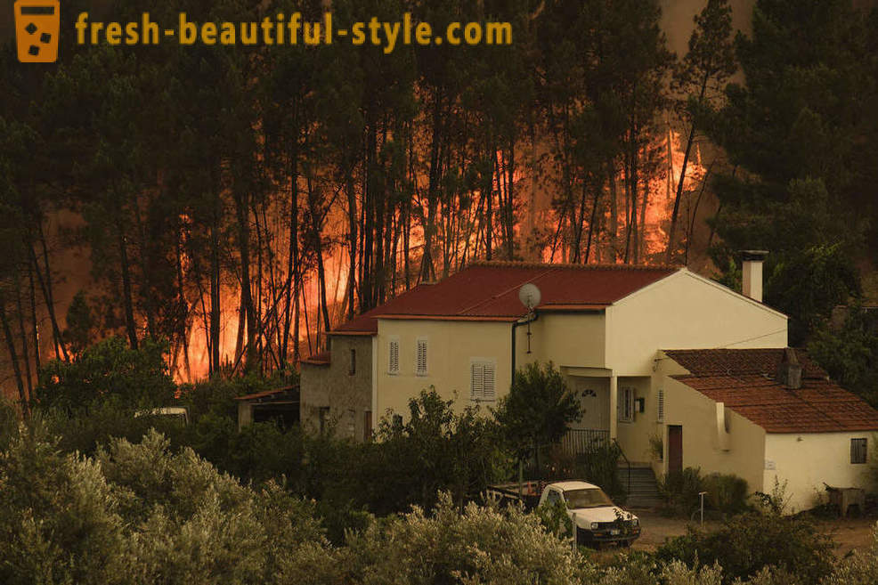 Cómo extinguir los incendios en Portugal