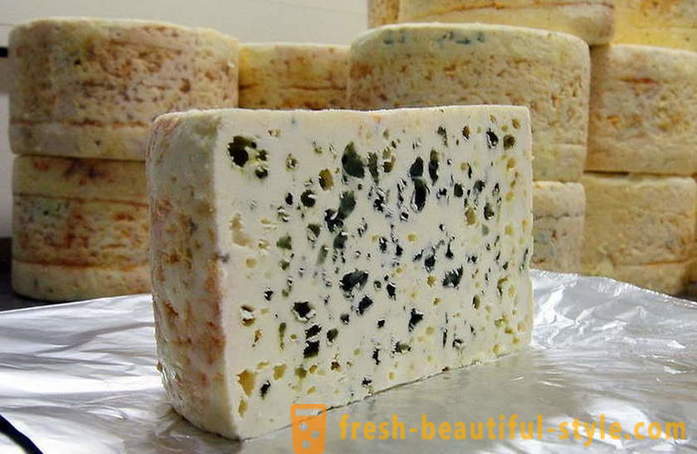 El proceso de fabricación del queso de Roquefort francés de viejas recetas