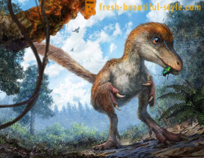 Hallazgos únicos asociados con los dinosaurios