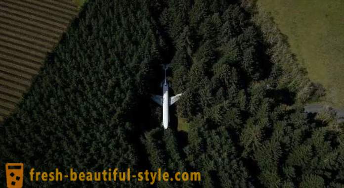 Americanos, 15 años de vivir en un avión en el medio del bosque