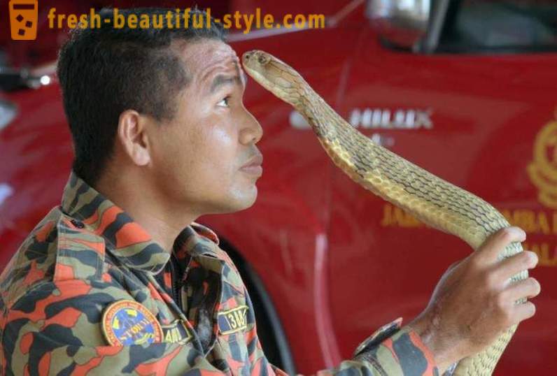 El famoso domador de cobras murió a causa de la picadura
