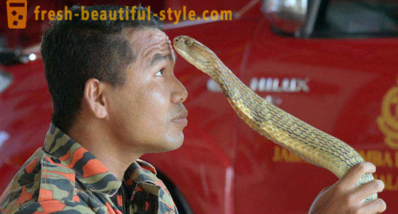 El famoso domador de cobras murió a causa de la picadura