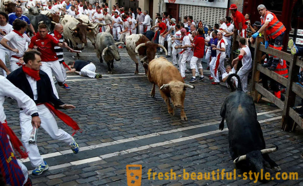 ¿Cómo era el funcionamiento anual de los toros en Pamplona, ​​España