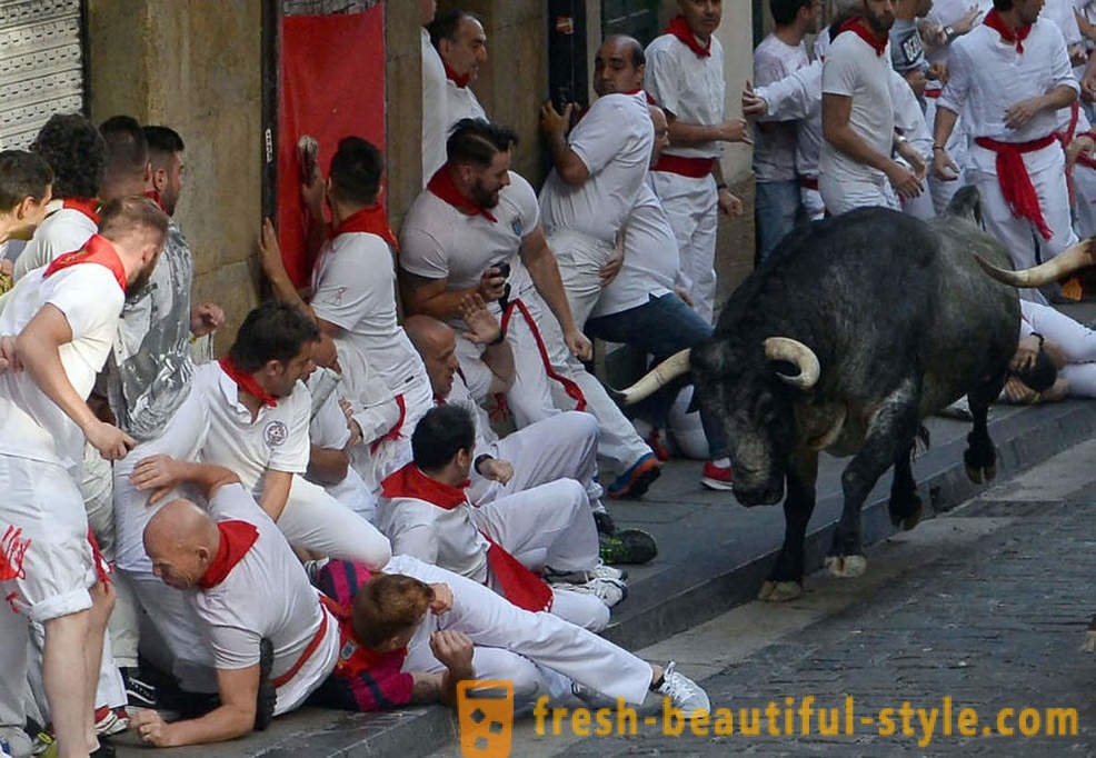 ¿Cómo era el funcionamiento anual de los toros en Pamplona, ​​España