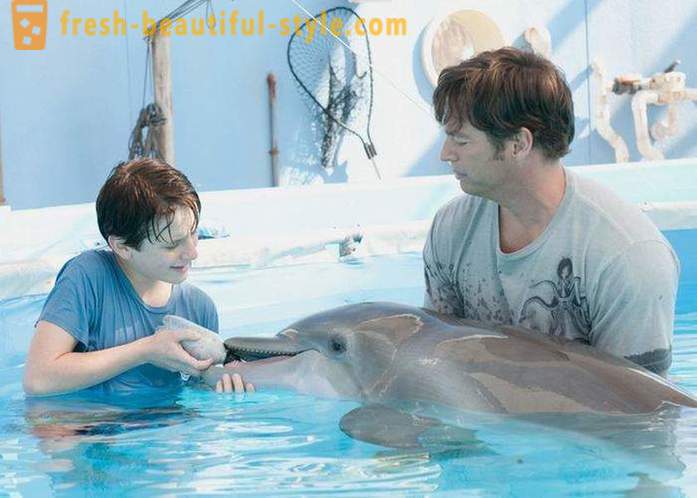 Una selección de películas sobre delfines