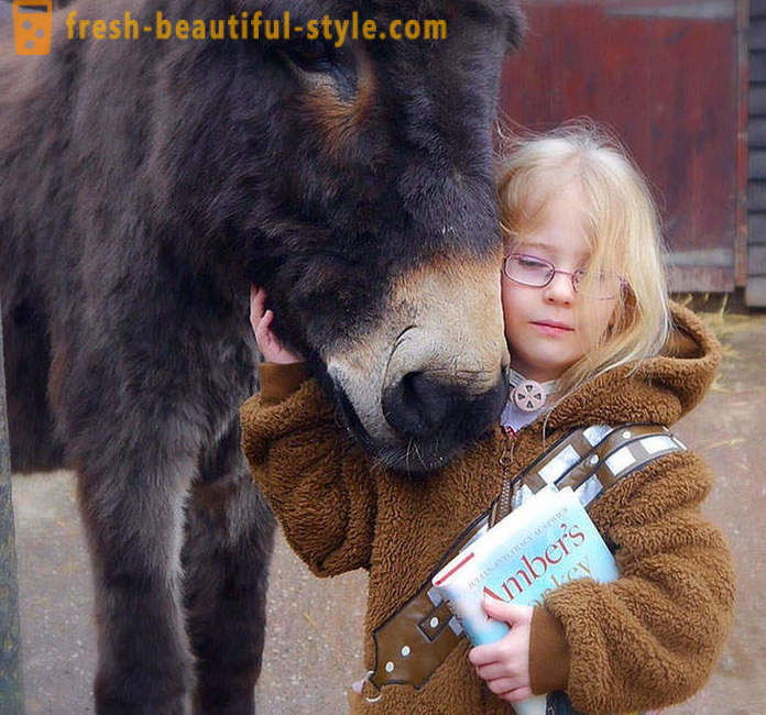 La terapia con animales: una chica muda empezó a hablar a través de un burro