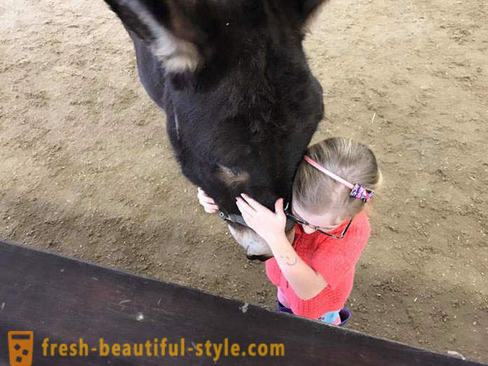 La terapia con animales: una chica muda empezó a hablar a través de un burro