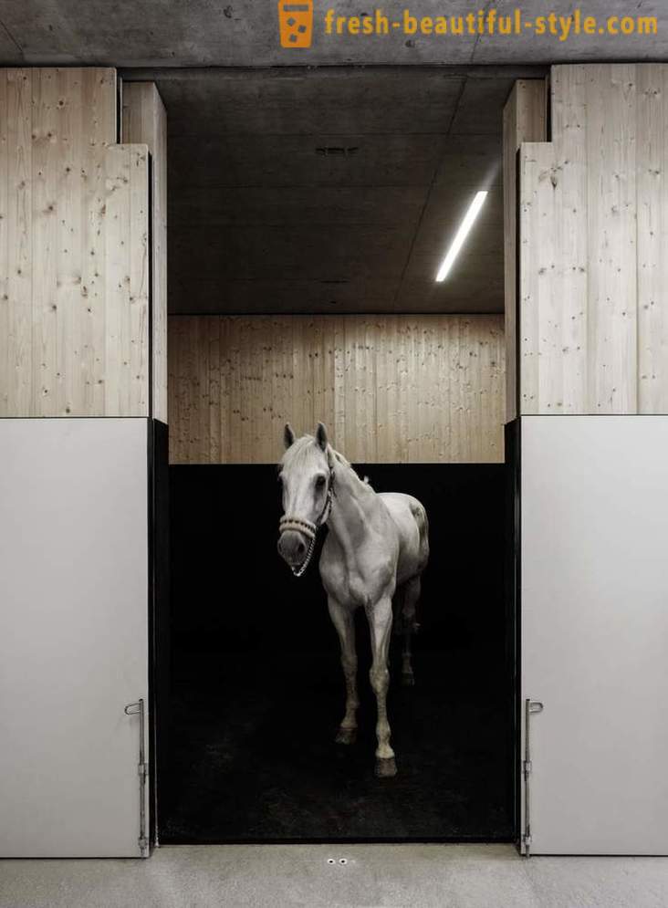 Diseño de la clínica veterinaria para caballos en Austria