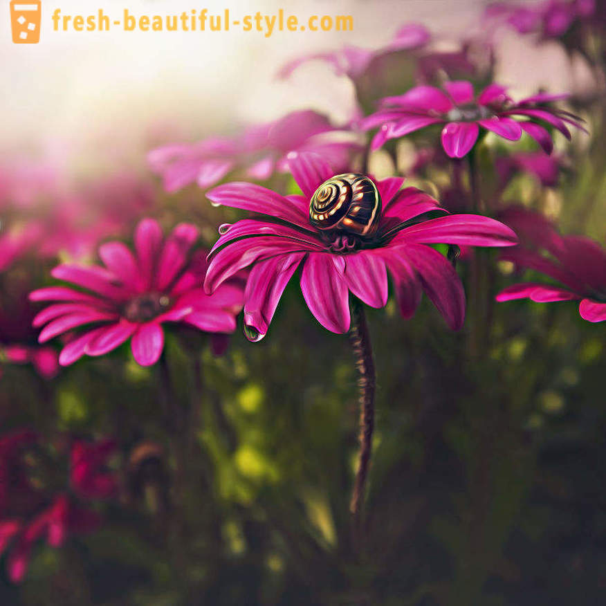 La belleza de las flores en la fotografía macro. Bellas imágenes de flores.