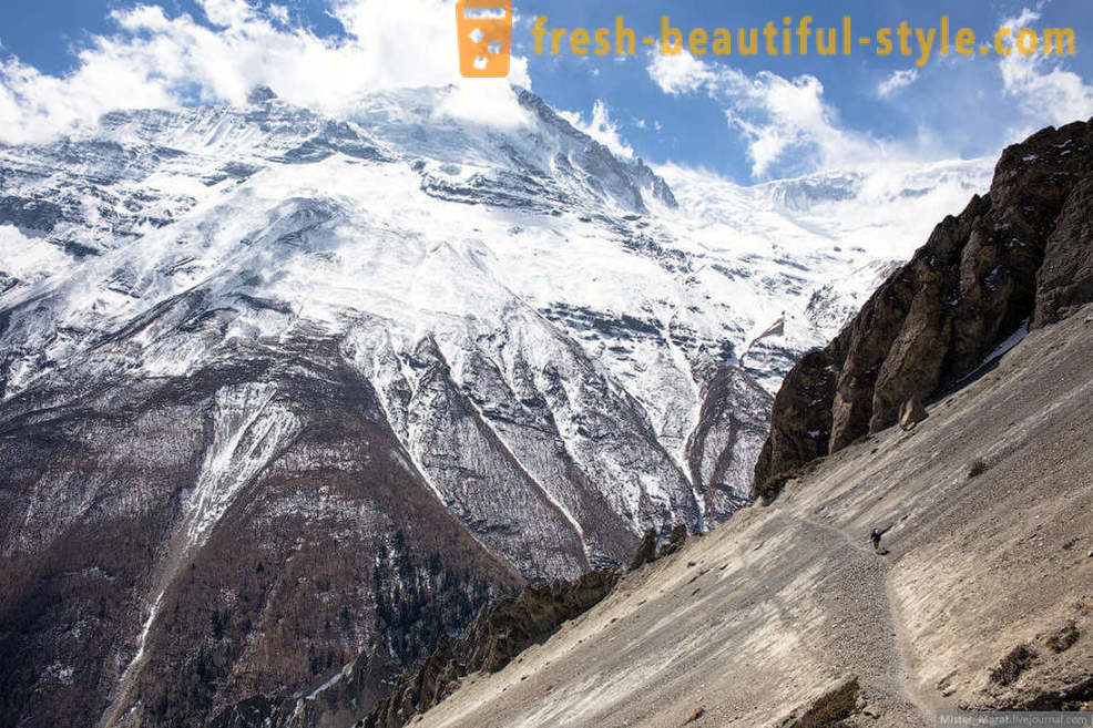 Himalaya: Anillo de Annapurna