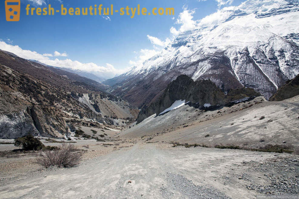 Himalaya: Anillo de Annapurna