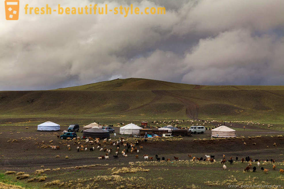 Severa Mongolia