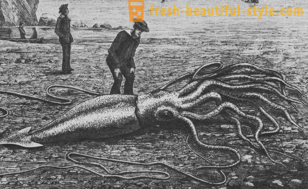 Kraken: el verdadero horror de las profundidades