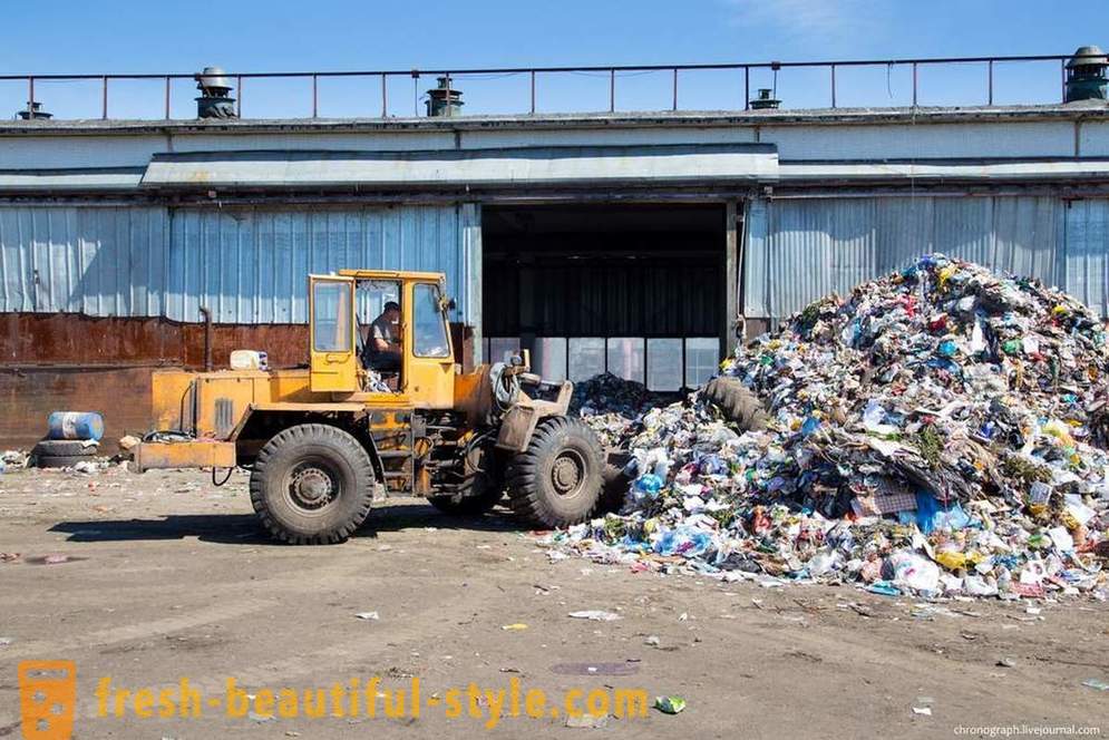 Cómo reciclar los residuos en Togliatti