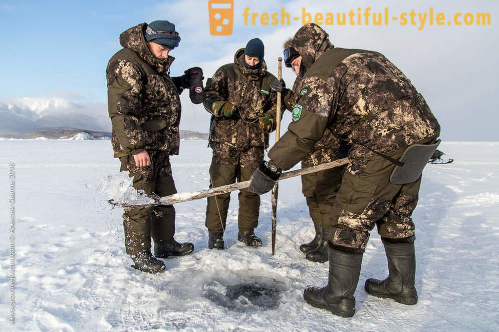 ¿Cómo rybinspektory en Baikal