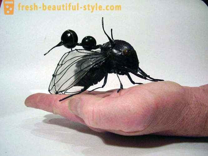 10 de los escarabajos planeta más terribles