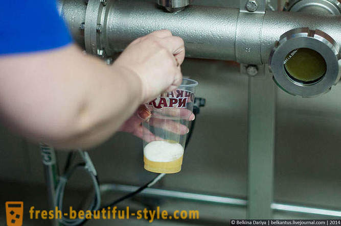 Cómo hacer la cerveza en el Territorio de Altai