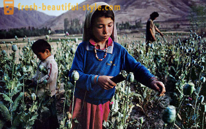 Afganistán a través de la lente de Steve McCurry