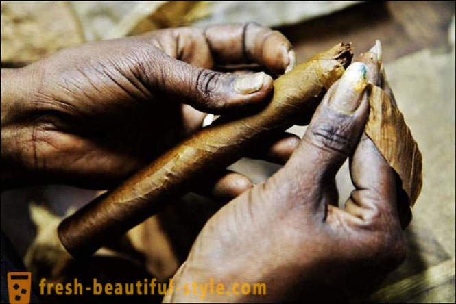 El proceso de crear el mejor de los cigarros cubanos