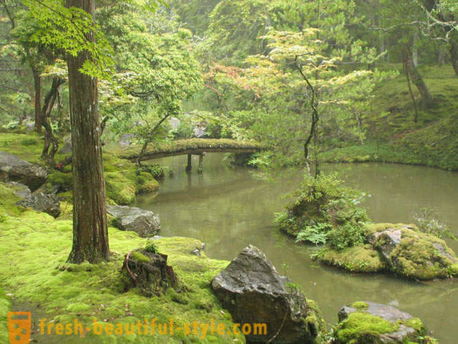 Jardín de musgo en Japón