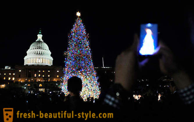 Luces de Navidad 2012