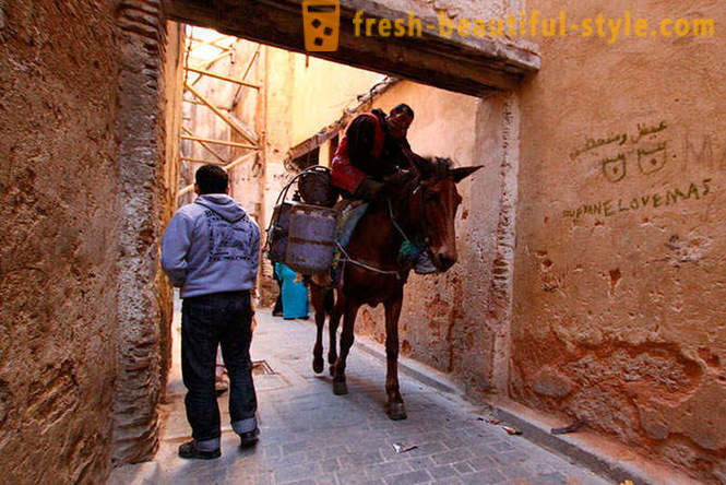 Fez - la más antigua de las ciudades imperiales de Marruecos