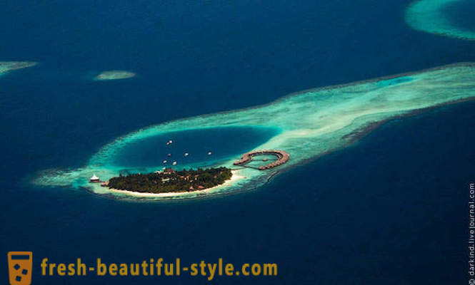 Volando sobre las Maldivas en hidroavión