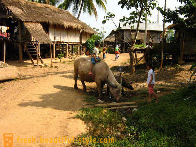 GeoFresher - ¿Cómo vivir en Laos