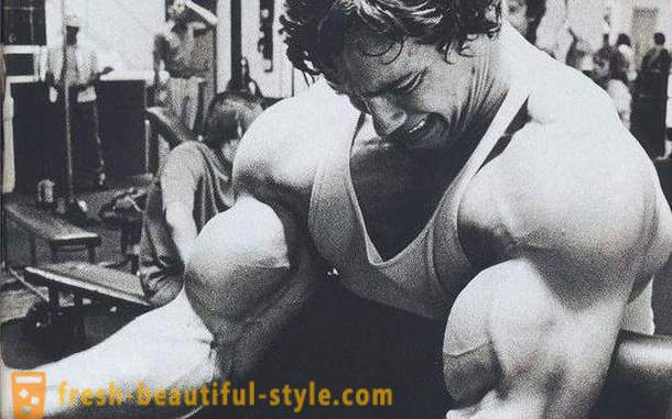 Bíceps entrenamiento. El programa de formación para el bíceps