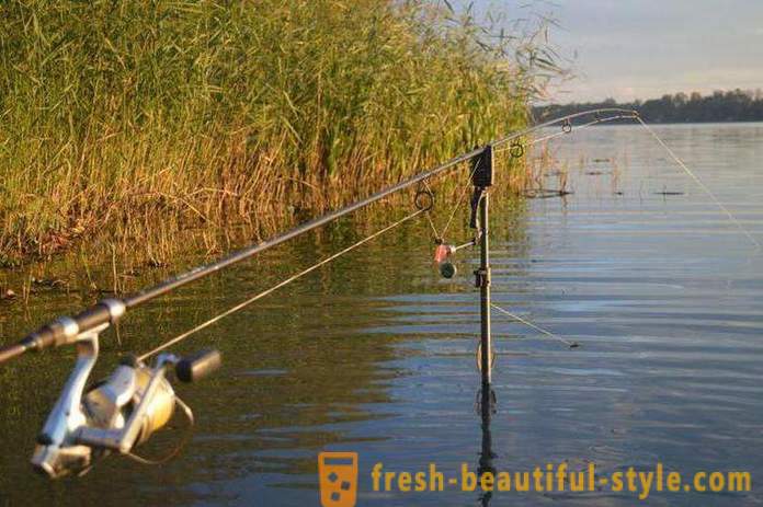 La pesca en la región de Riazán en el río Oka y otros cuerpos de agua