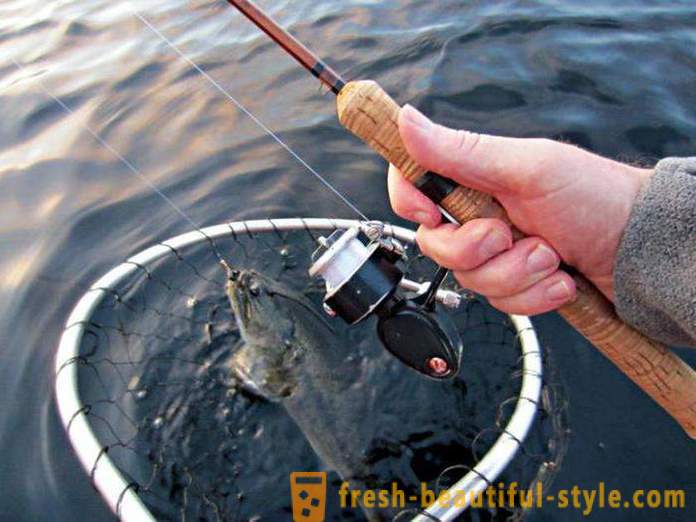 Hilado ultraligero. hiladores de pesca: descripción, especificaciones, opiniones