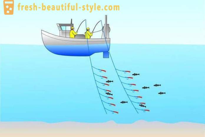 Trolling: la pesca para los principiantes. barco de pesca de arrastre