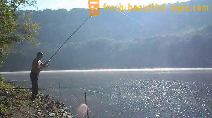 La pesca en el pezón. Características de pesca de verano