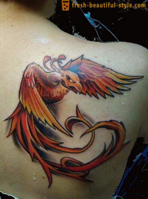 Phoenix - un tatuaje, el significado de la cual no puede entenderse plenamente