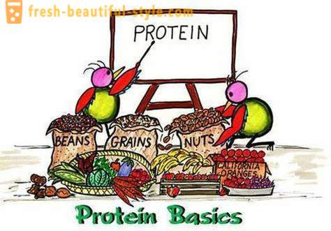 ¿Cuáles son las proteínas? ¿Quién y cómo tomar proteínas