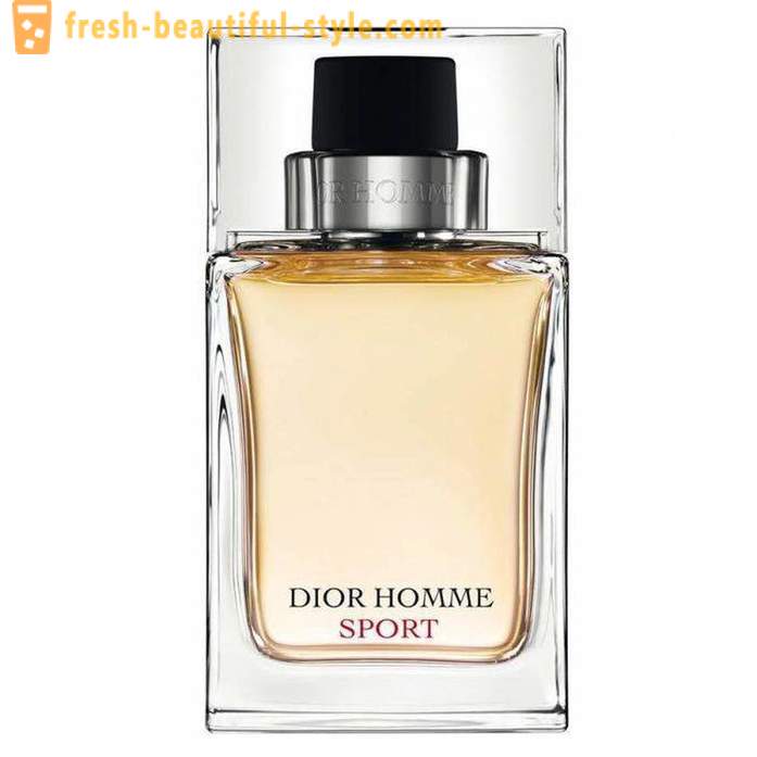 Los hombres de Dior Homme Sport: descripción, comentarios