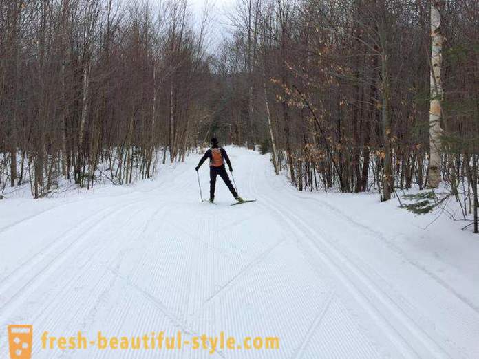 ¿Cómo elegir los esquís para el patinaje del curso: consejos para principiantes