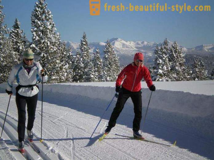 ¿Cómo elegir los esquís para el patinaje del curso: consejos para principiantes