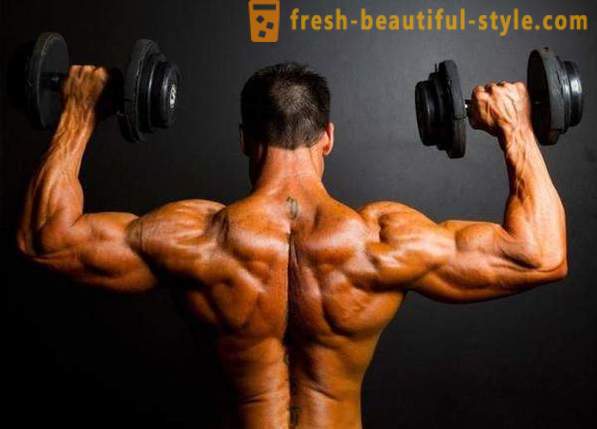 Cómo ganar masa muscular a través de la formación