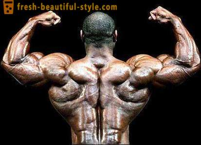 ¿Cómo fortalecer los músculos de la espalda, el pecho y los brazos